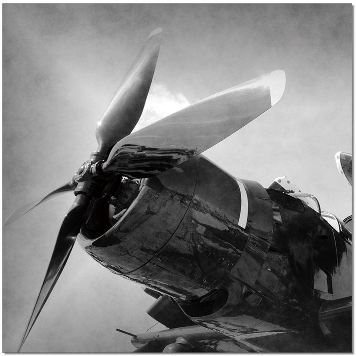 Aircraft Rotor Wall Art