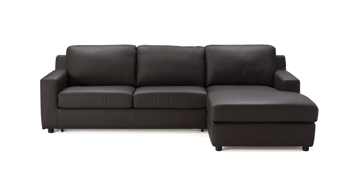 Taylor Premium Sectional Sleeper in Brown